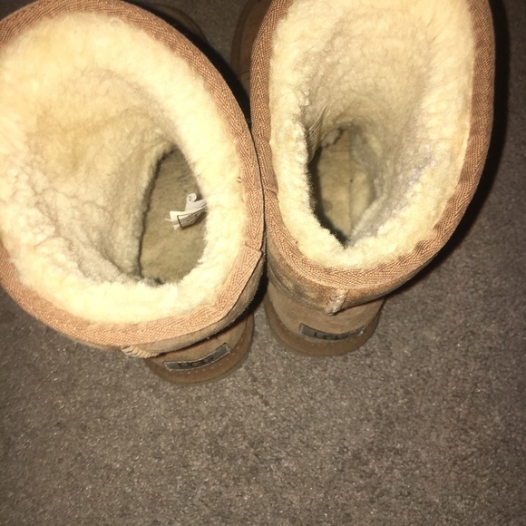 Chestnut short uggs lightly worn - Picture 3 of 4